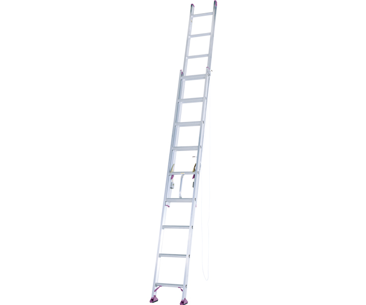 15091円 人気急上昇 2連はしご 約5m CX-50DE アルインコ ハシゴ 梯子 園芸用品 アルミ